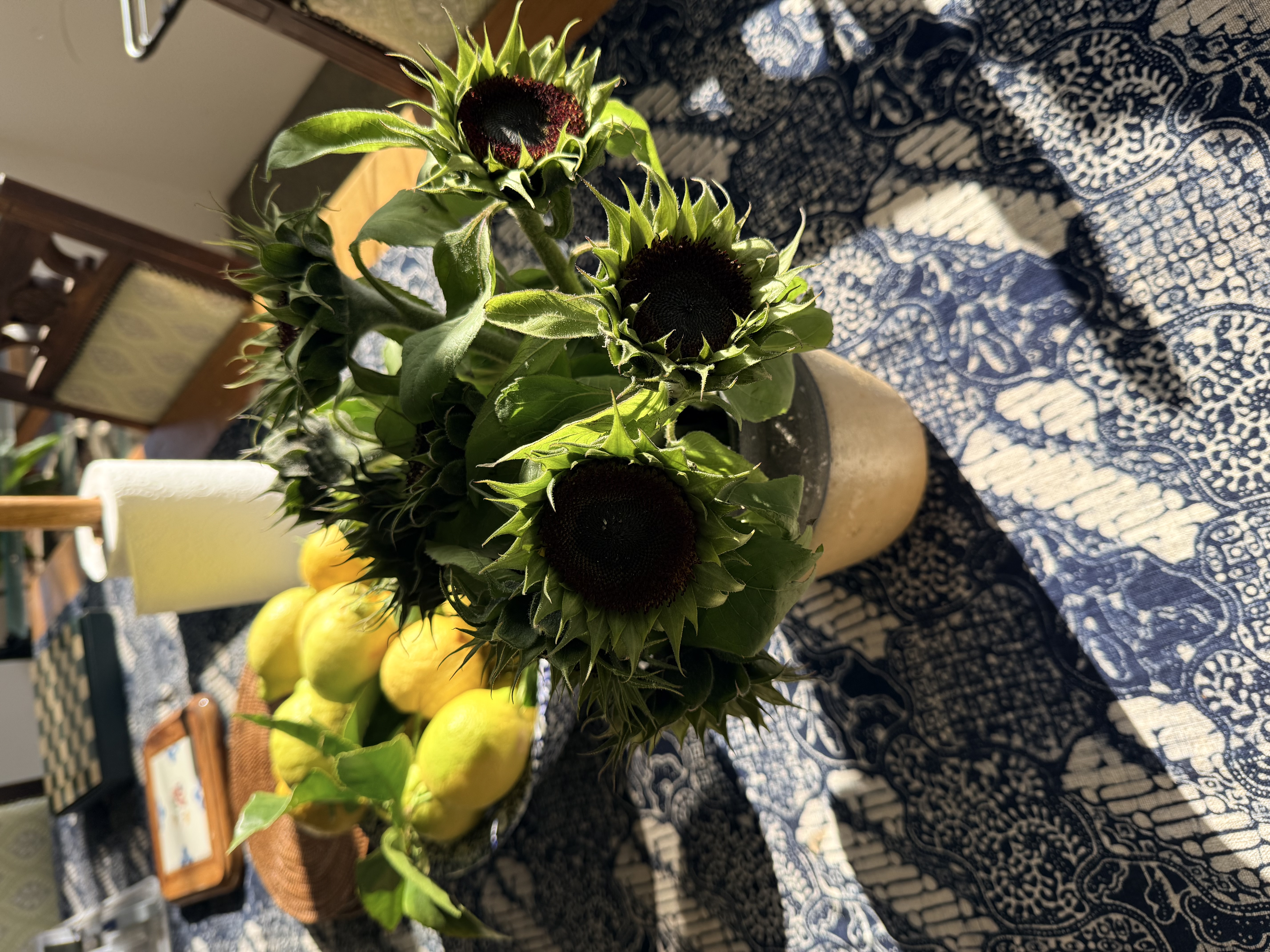 Sunflowers, lemons, a slow morning